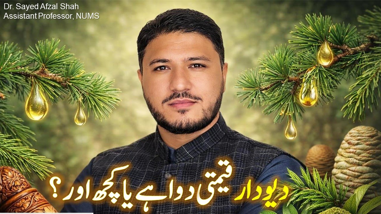 What Makes Deodar Trees So SPECIAL in Pakistan? |  Diyar (Cedrus deodara)
