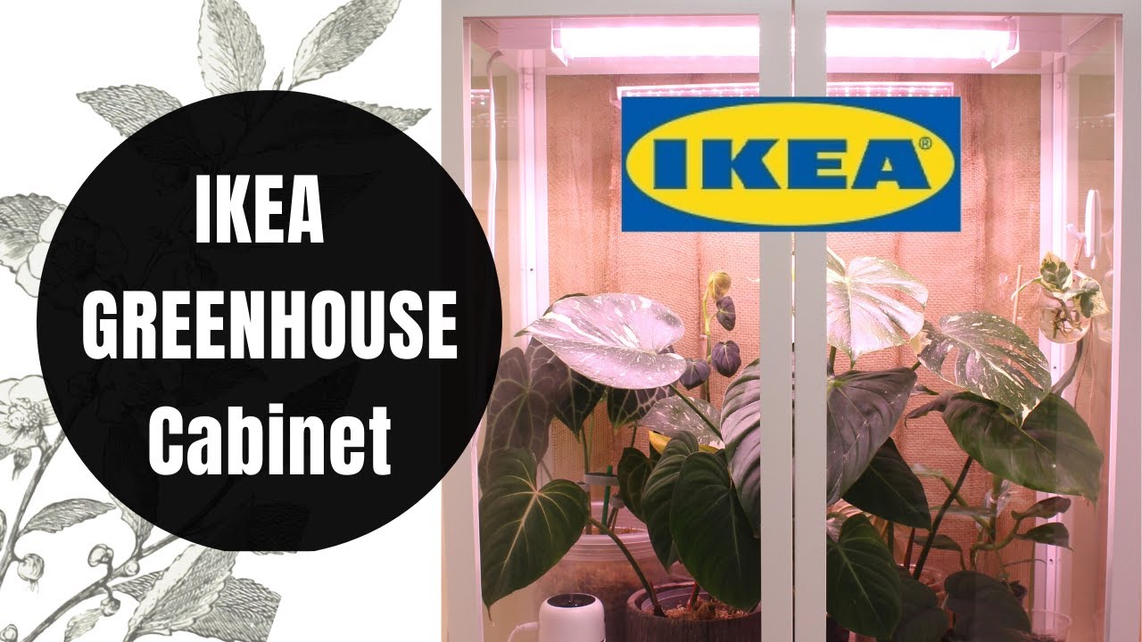 IKEA MILSBO GREENHOUSE Setup + Supplies and Products used