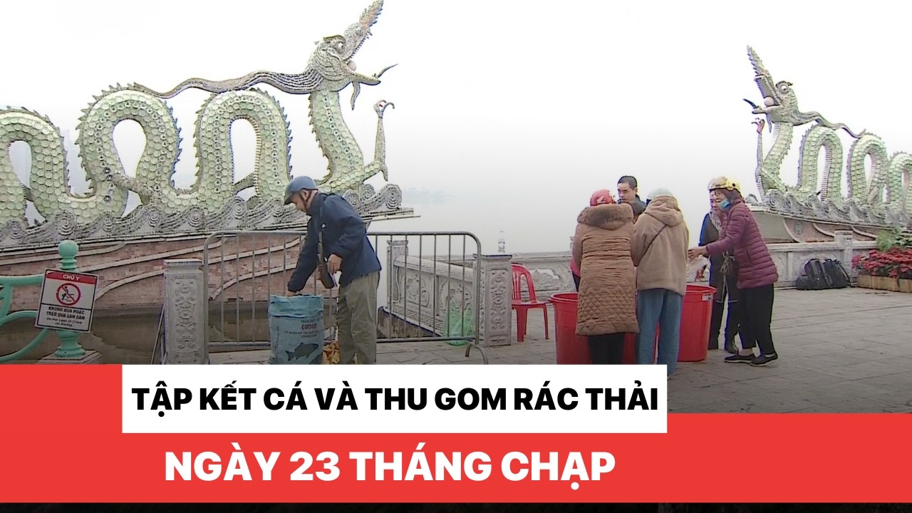 Tập kết cá và thu gom rác thải ngày 23 tháng Chạp