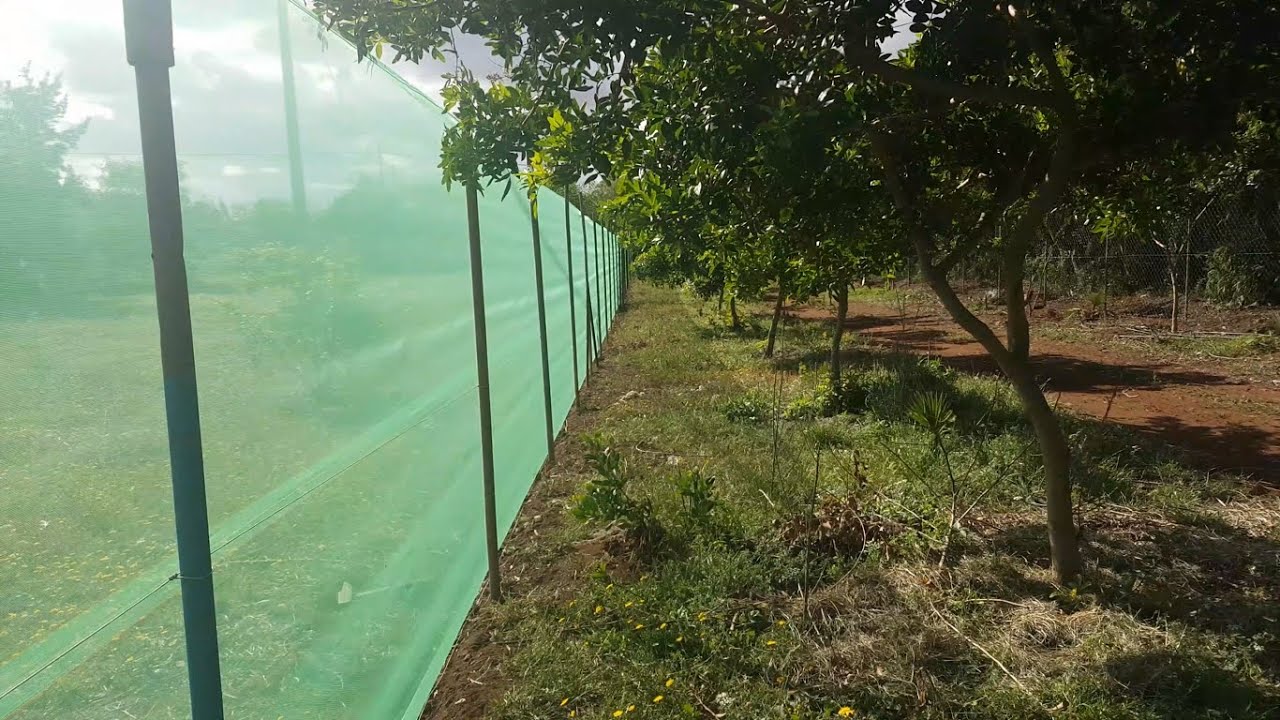 Fencing -  تعلم تركيب سياج