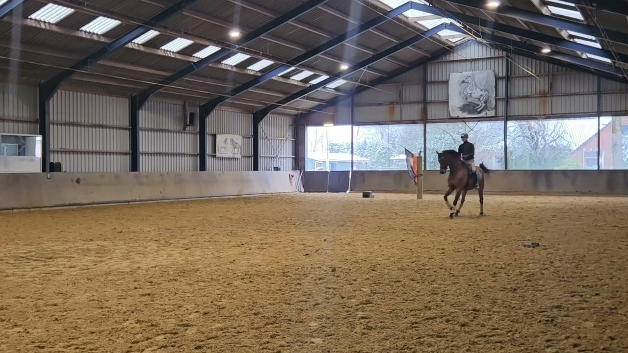 Preparing for Grand Prix, work in progress Bastiaan de Recht & Jeweldale