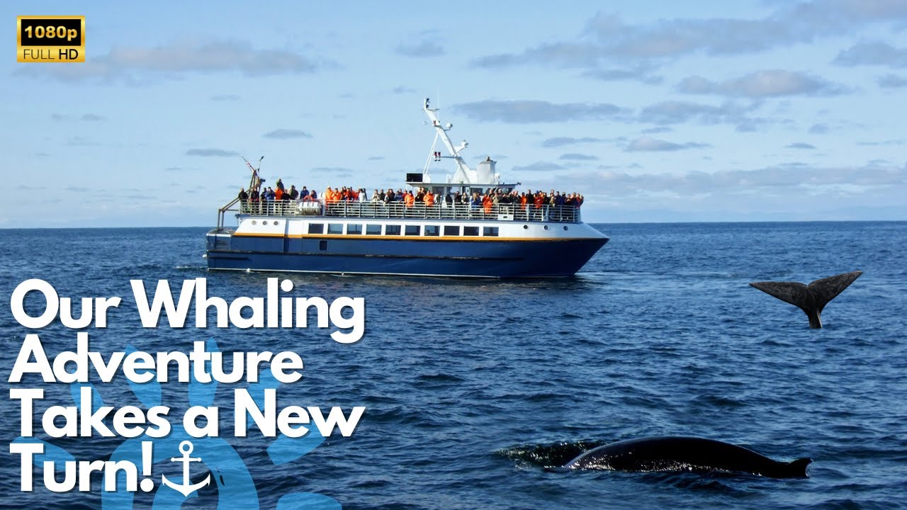 Whale Watching Surprise - Our Whaling Adventure Takes a New Turn! 🐋⚓️🌊