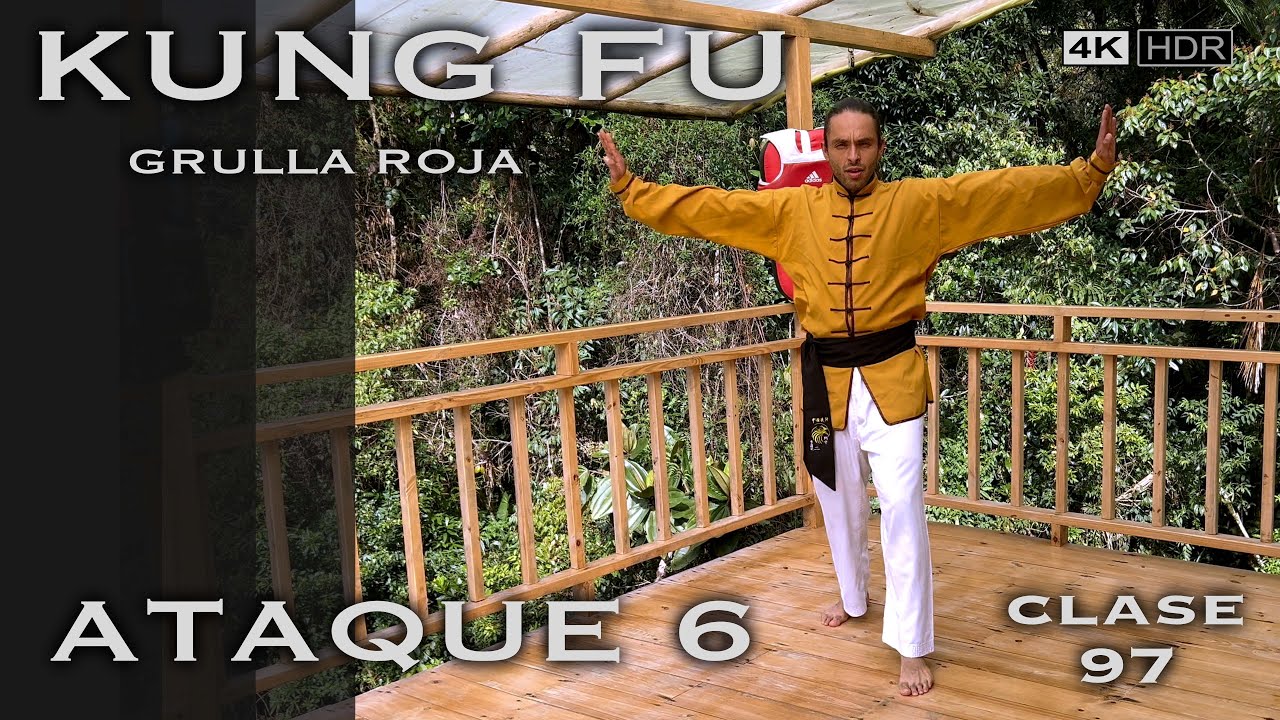 Grulla Roja técnica y ataque 6 / Clase 97 Kung Fu Wushu