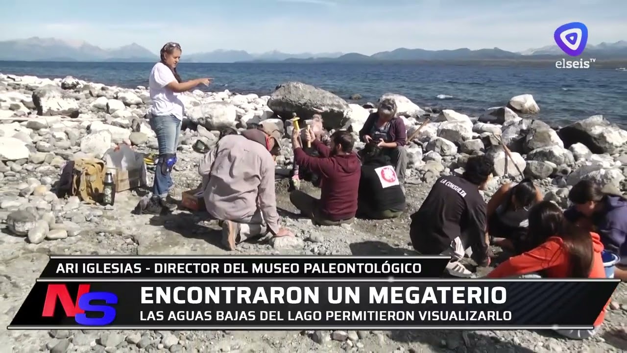 Encuentran restos de un megatherion a orillas del Lago Nahuel Huapi