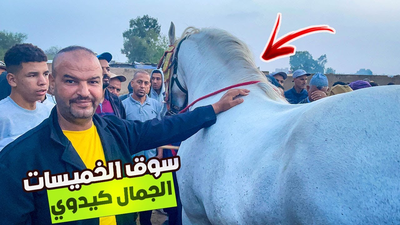 🚨سوق الخميسات اليوم حماسي الجمال كيداوي فرصة و مناسبة لي كيقلب على شي عود كاين الهمزة ✅