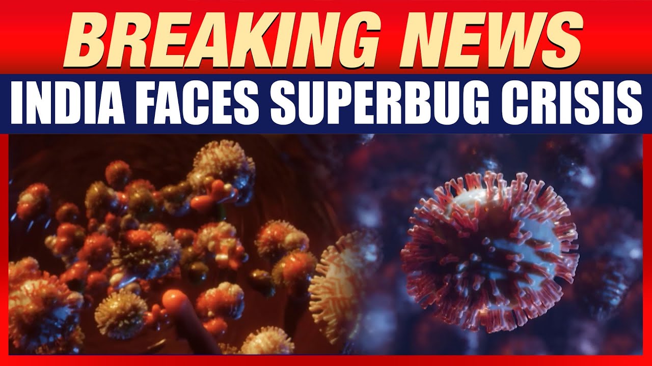India Faces Superbug Crisis: 83% Carry Drug-Resistant Bacteria | Health Alert