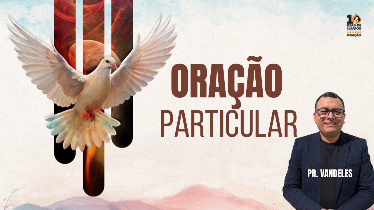 🔴 ORAÇÃO PARTICULAR- EM BUSCA DO  ESPÍRITO SANTO - 365 DIAS DE ORAÇÃO