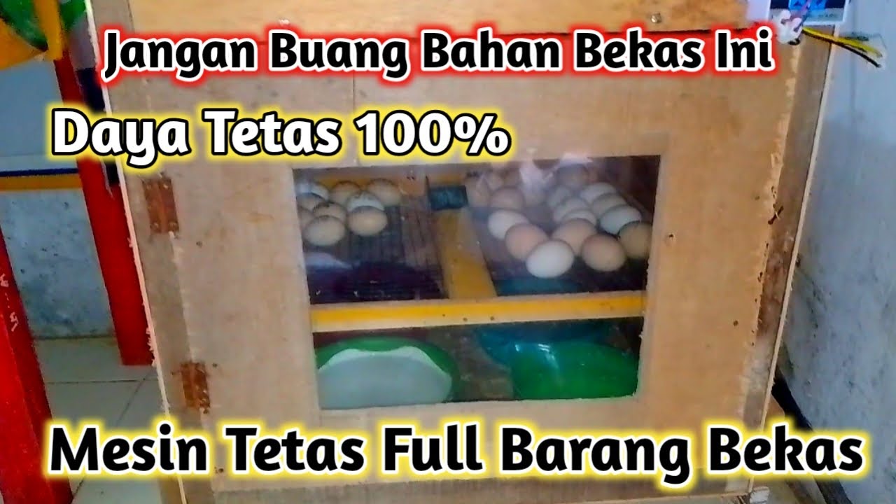MESIN TETAS MANUAL DARI BARANG BEKAS‼️ DAYA TETAS 100%