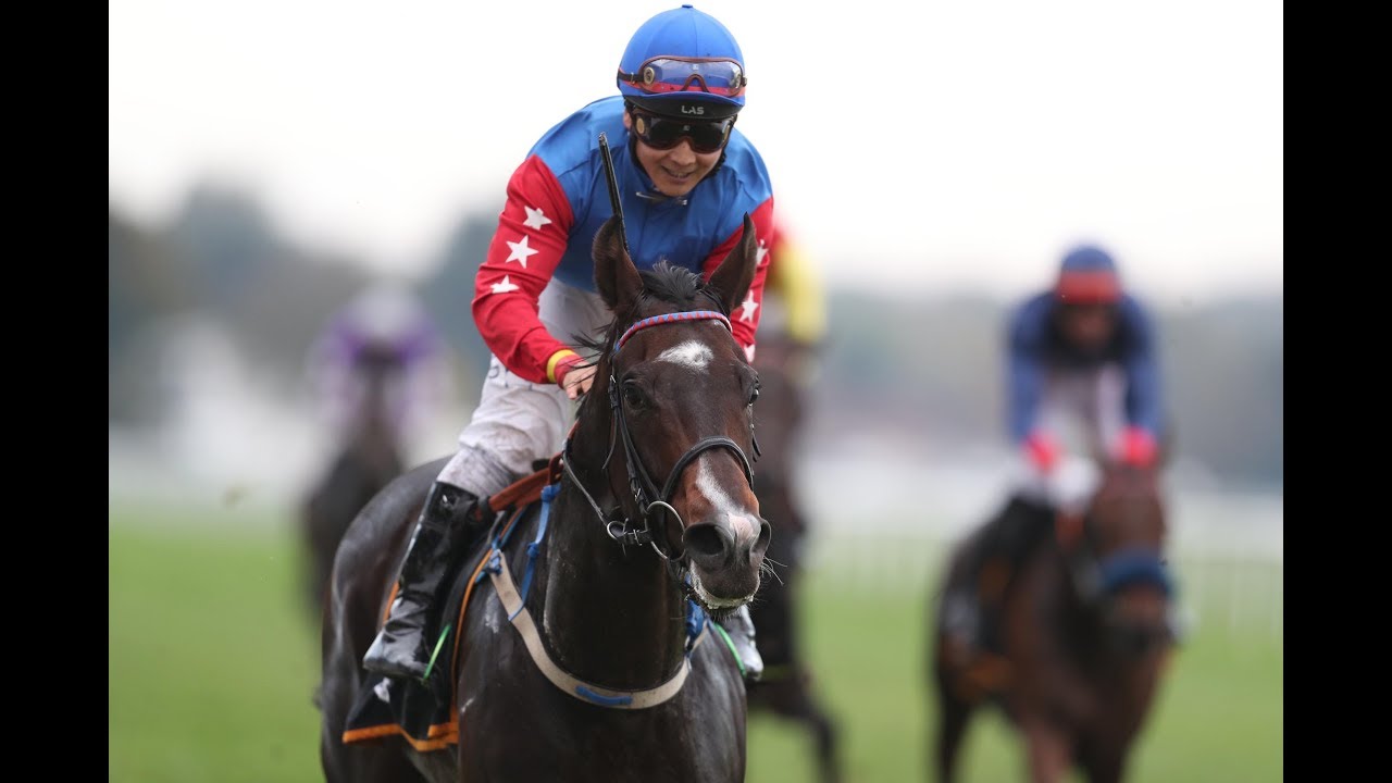 Baden-Baden: Baden-Württemberg-Trophy - Le Defi du Galop (Gr. III) - Sieger: Nancho