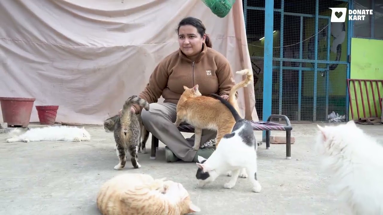 This Holi, Support 300+ Rescued Animals