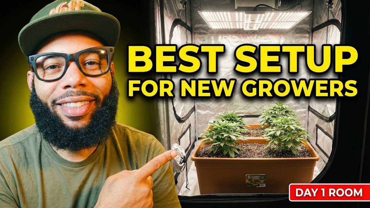 The Living Soil Setup I Recommend to First-Time Growers