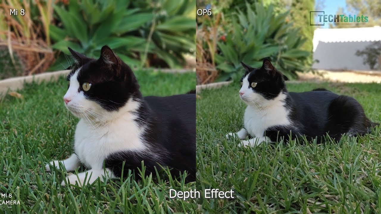 OnePlus 6 Vs Xiaomi Mi 8 Camera Comparison -  Low Light, Video & All Cameras Tested