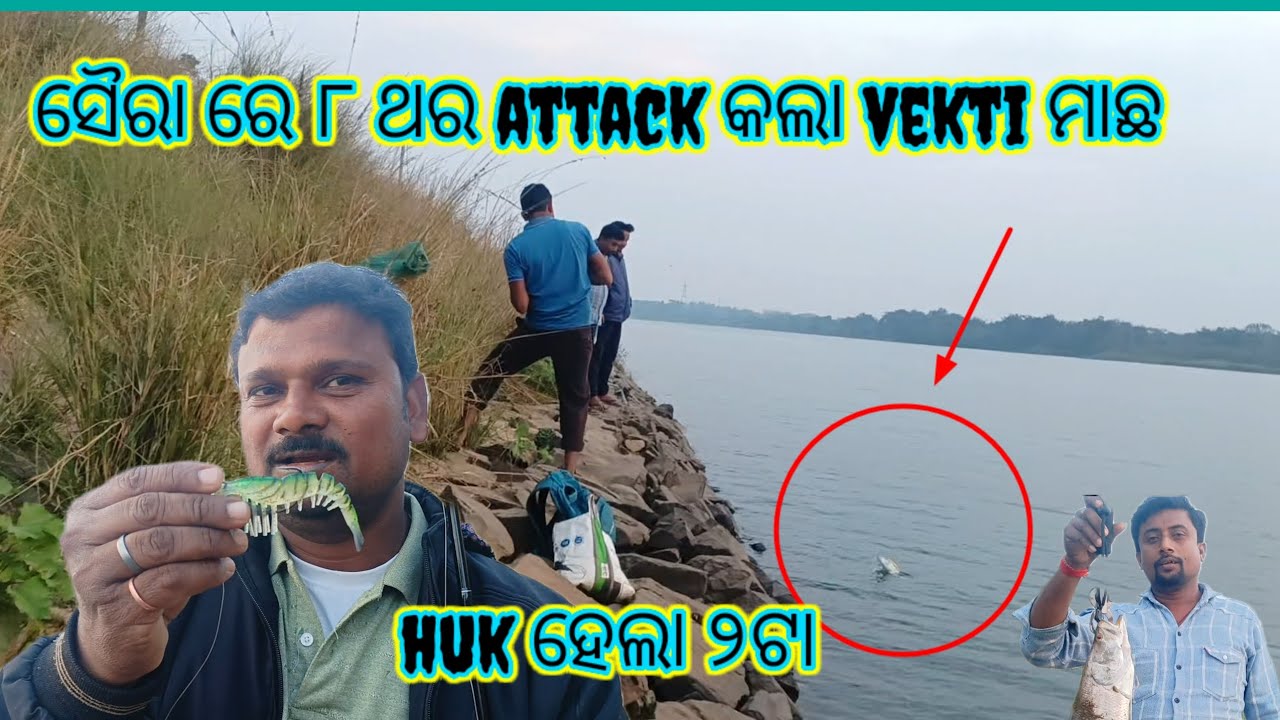 ସୈରା ରେ ୮ ଥର attack କଲା vekti ମାଛ Huk ହେଲା ୨ ଟା