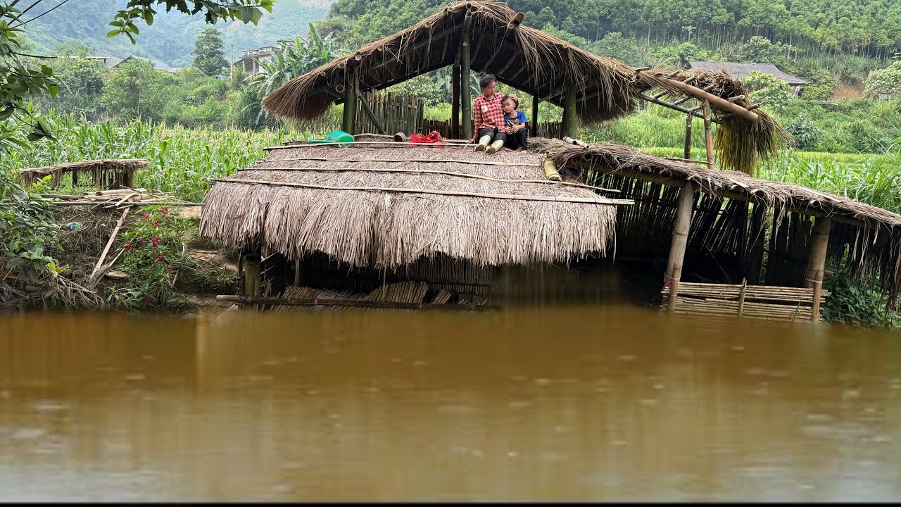 Full Video: Journey of a poor girl living next to a rushing stream to build a new house after&hellip;