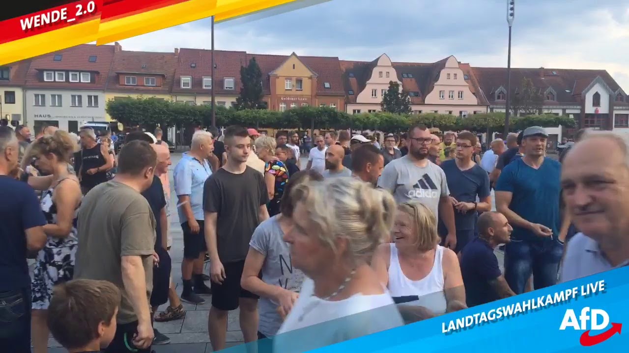 Livestream der AfD Brandenburg