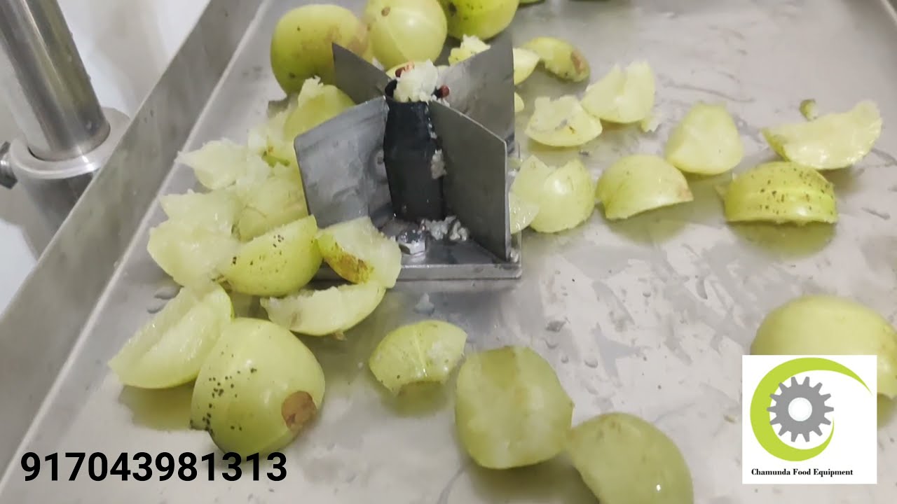 amala seed remover machine amala cutting machine Indian gooseberries machine amla deseeding machine
