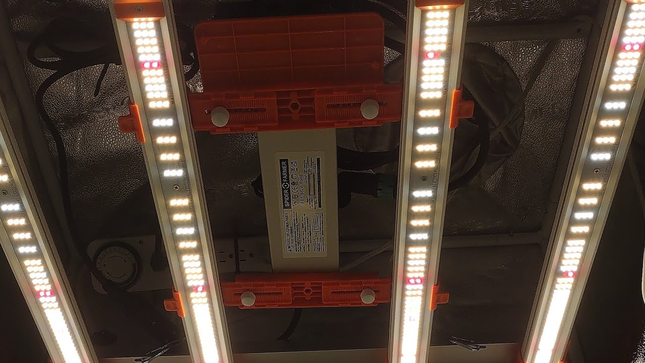 #spiderfarmer #G300W unboxing and setup. Blue Dream run in the 2x2