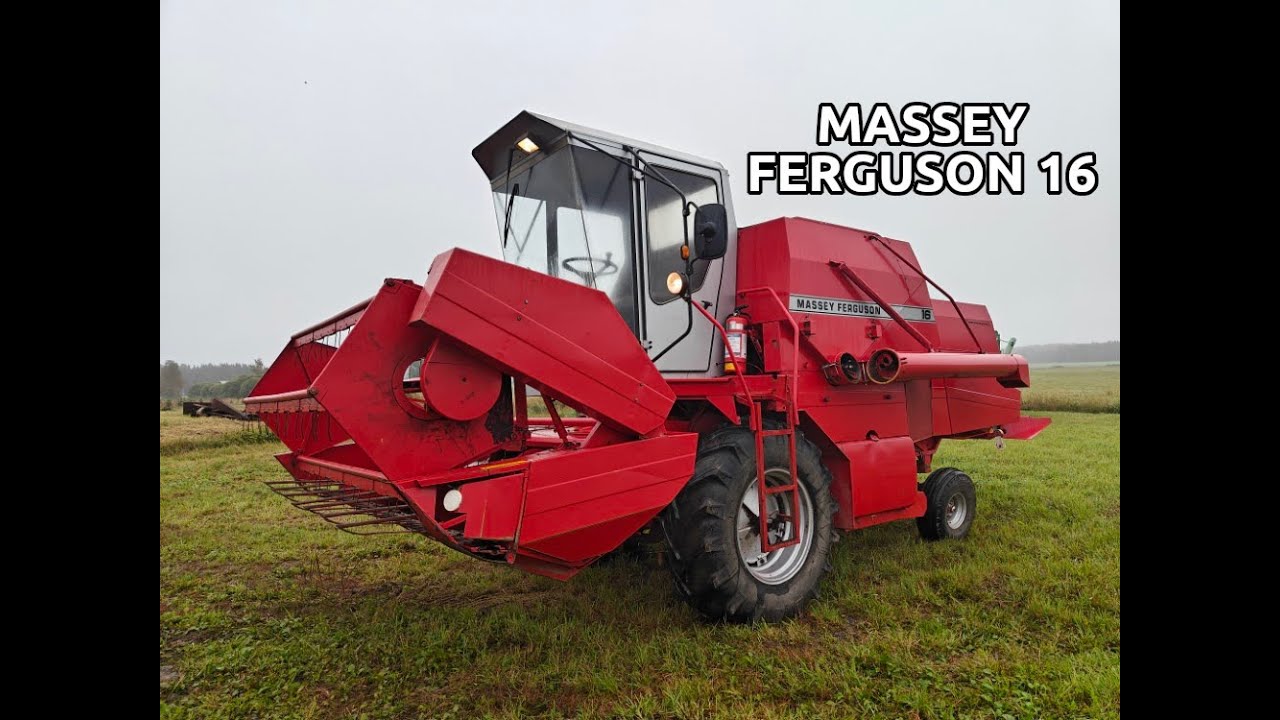 Massey Ferguson 16