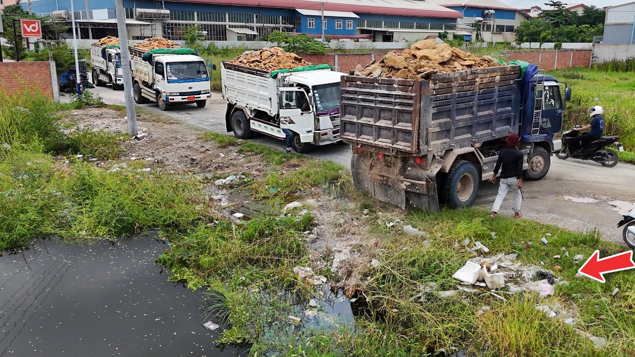 Excellent Really the Project! Start Landfill Job using Trucks 5ton with Operator KomatSu Dozer