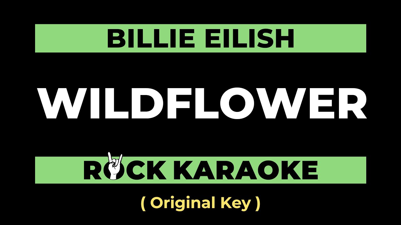 Wildflower (Rock Karaoke Version) - Billie Eilish | Instrumental & Lyrics