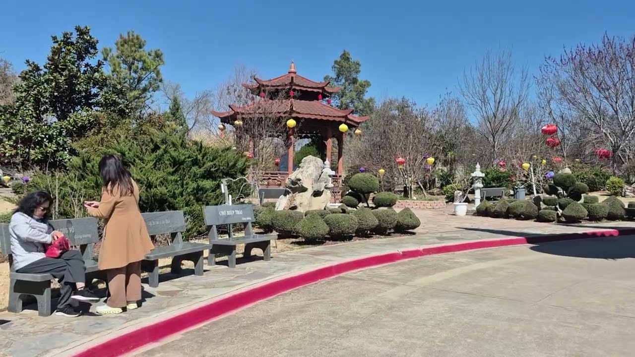 Tiếp khuôn viên ngoài Tu Viện 🇺🇸  #TempleUsa 