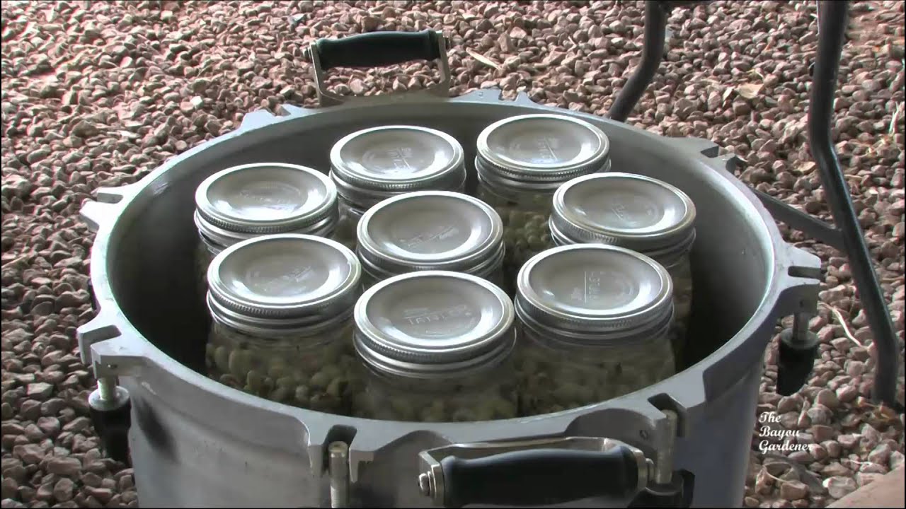Canning Purple Hull Peas - August 2011