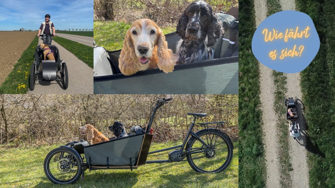Im Redaktionstest: Lastenrad von MÄX & MÄLEON