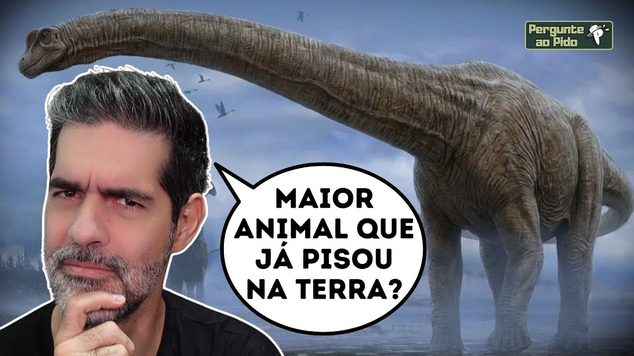 Qual é o MAIOR ANIMAL que já pisou na TERRA? #PergunteaoPido 9