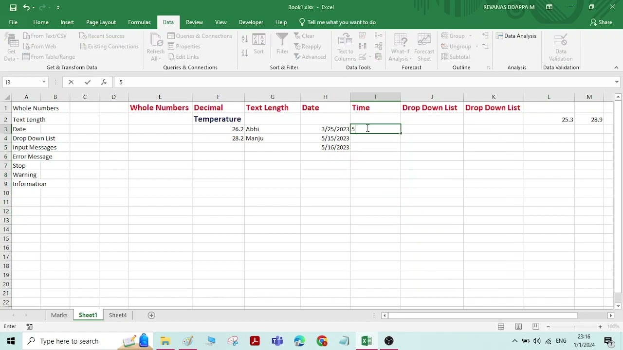 DATA VALIDATION IN EXCEL