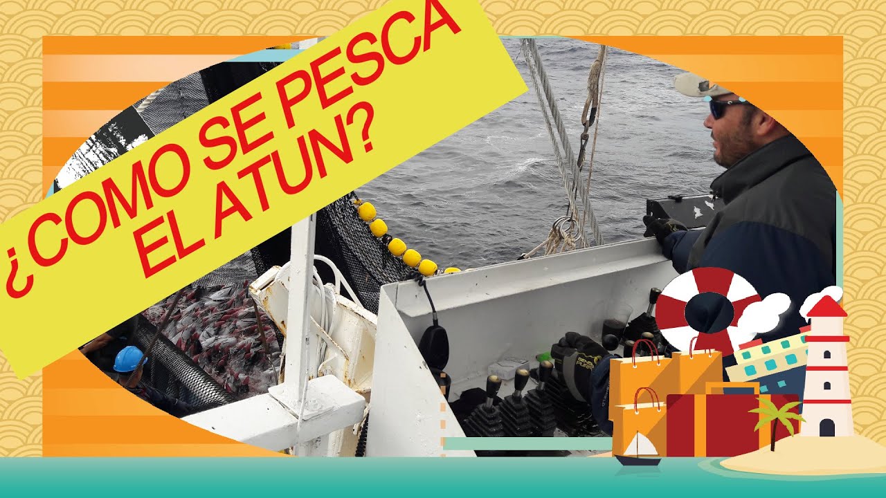 IMPRESIONANTE VIDEO DE LA PESCA DE ATUN EN EL OCEANO PACIFICO, PURSE SINER FISHING PACIFIC OCEAN