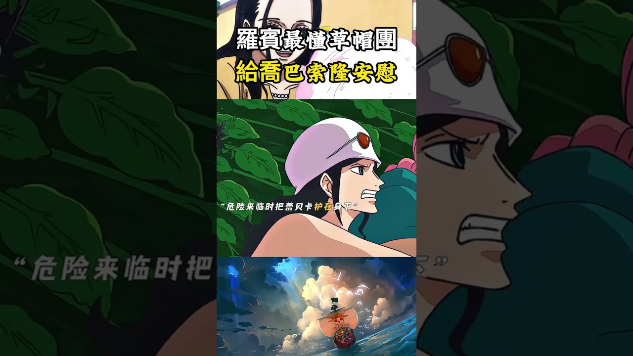 原來羅賓才是最懂草帽團成員的人，給喬巴棉花糖給索隆蓋衣服，自己面對迪亞曼蒂的攻擊 #onepiece#海賊王 #動漫