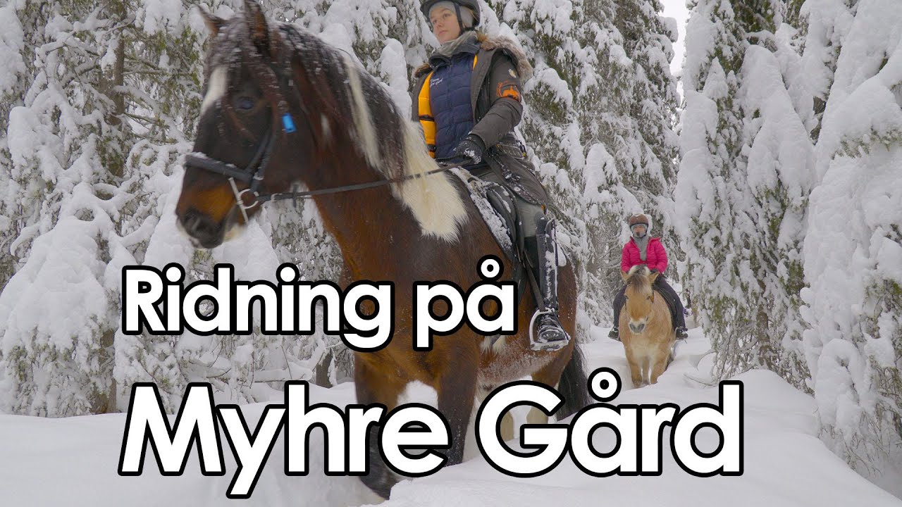 Riding på Myhre Gård  | Valdres