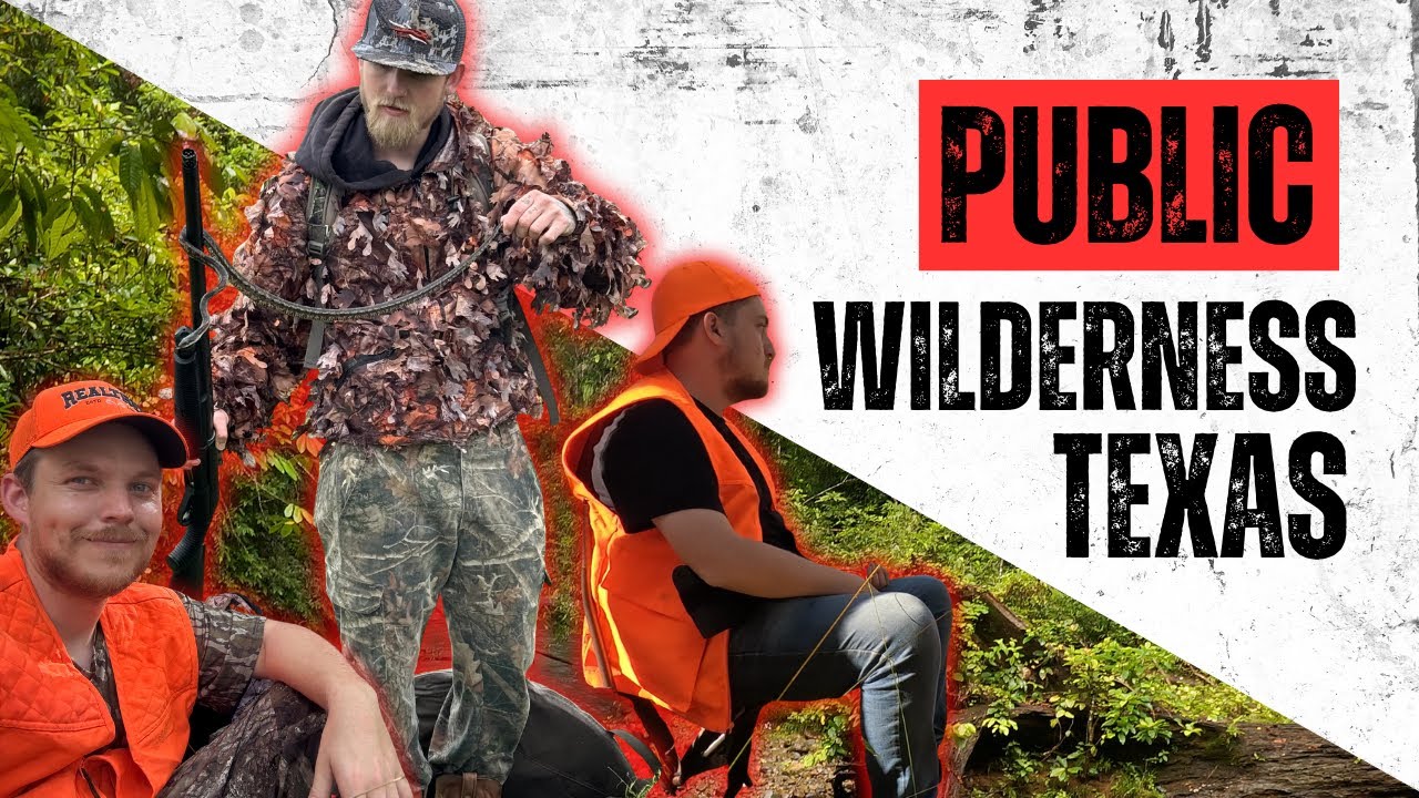 Public Land Whitetail Hunt – East Texas General Season (DIY)