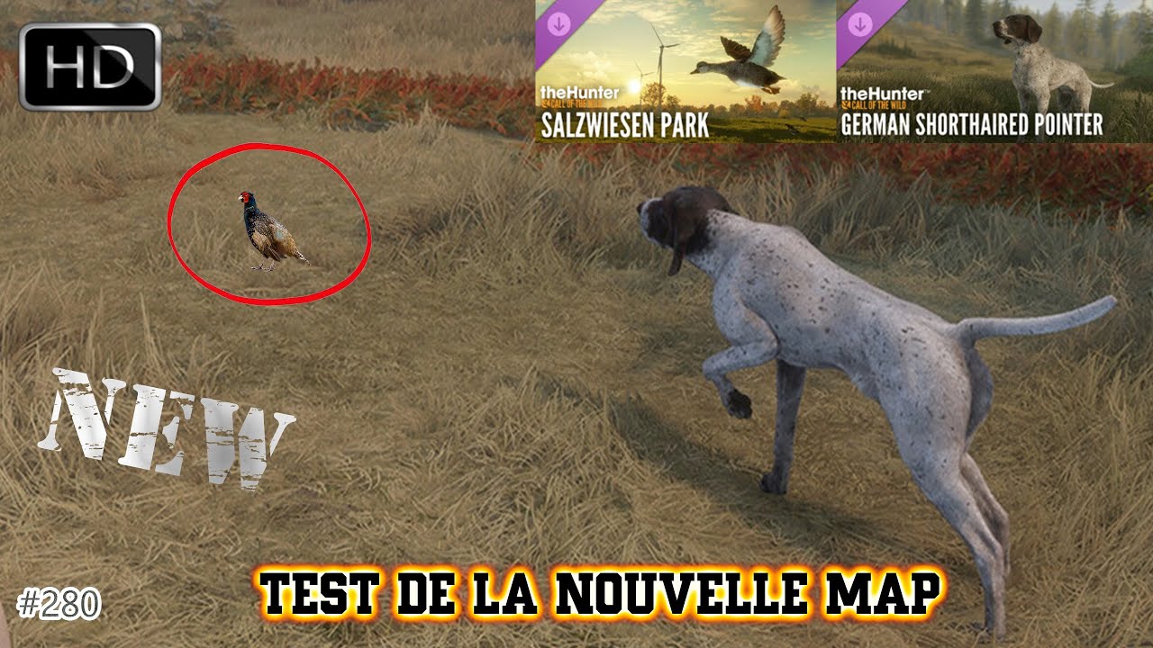 THE HUNTER CALL OF THE WILD #280 TEST DE LA MAP SALZWIESEN PARK ET DU GERMAN SHORTHAIRED POINTER !