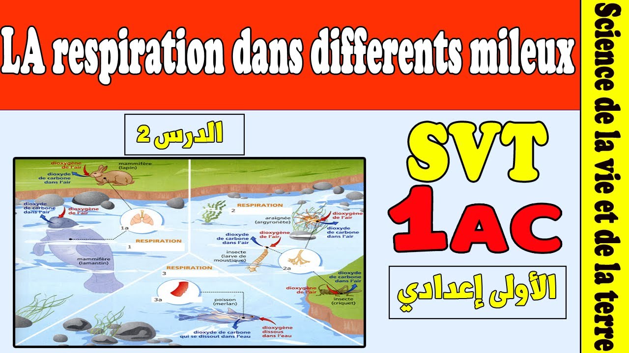 la respiration dans différents milieux SVT 1AC