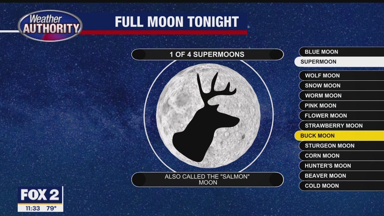 Warm, Humid Monday
