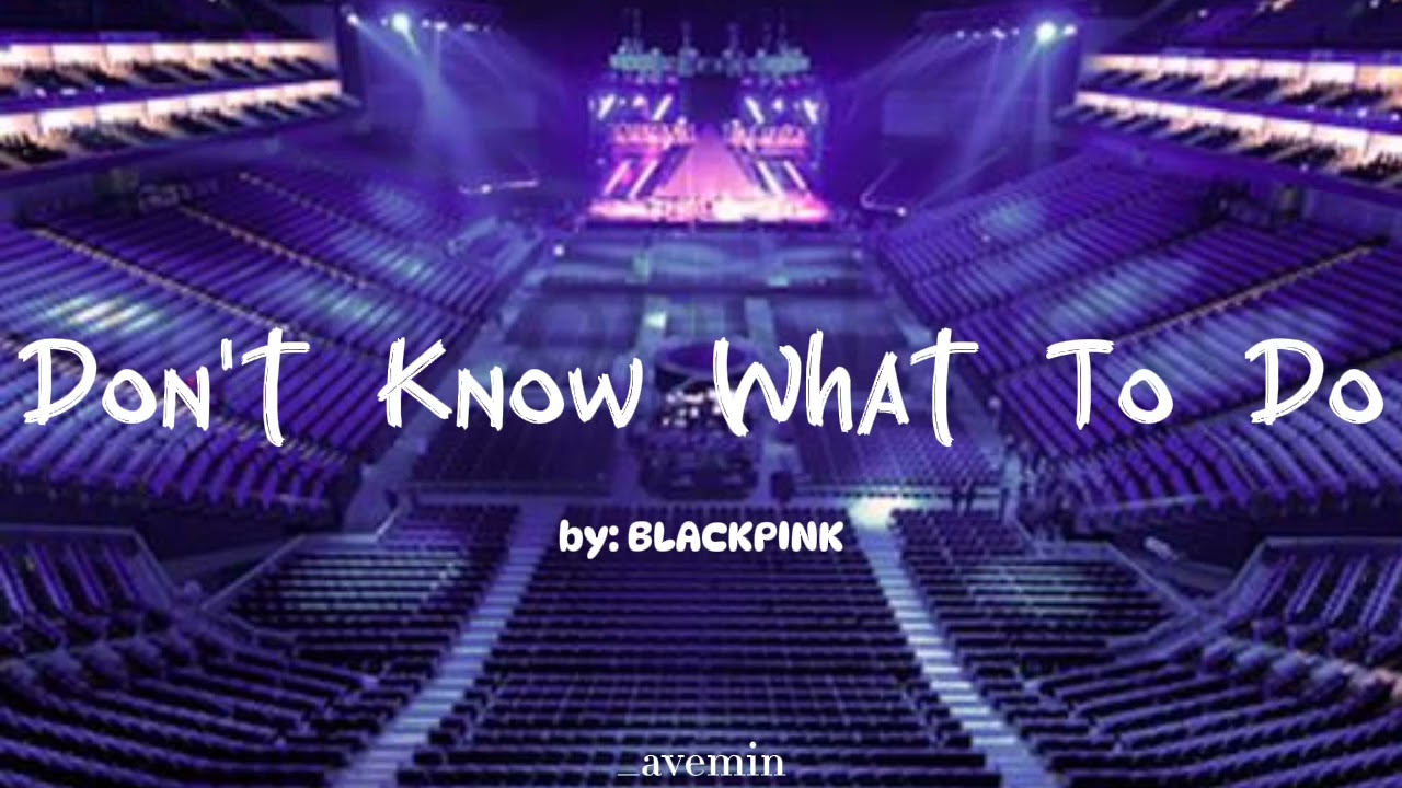 Don't Know What To Do - BLACKPINK | but you're in an empty arena