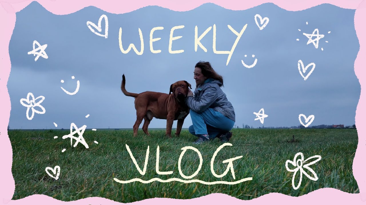 a few days in my life as a homebody with a 9-5 :)