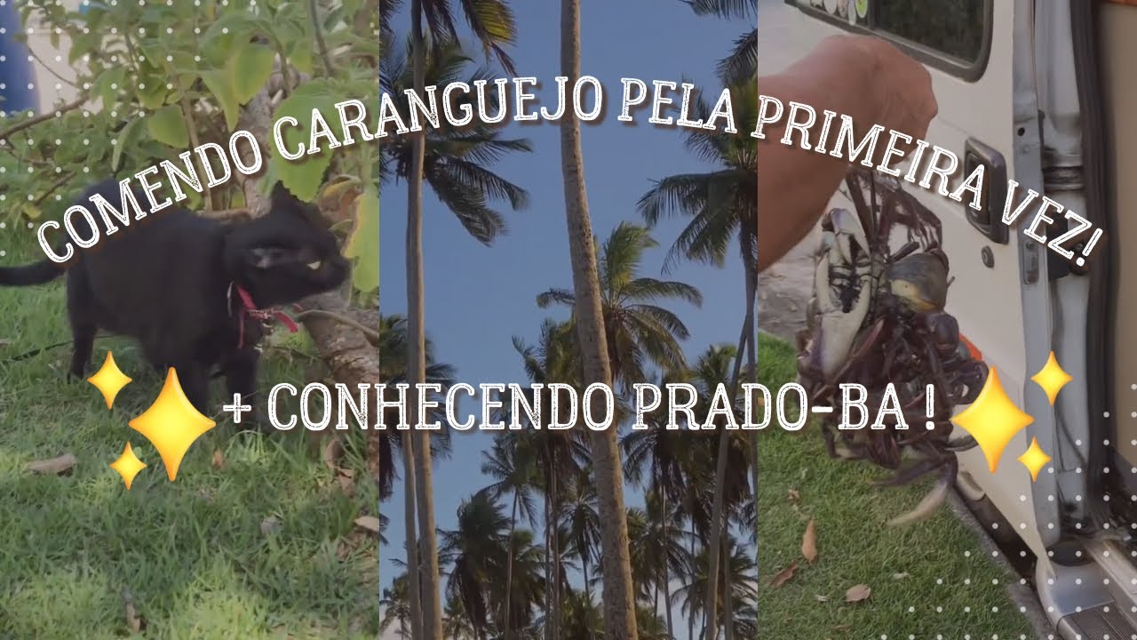 Conhecendo Prado - Bahia + Comendo caranguejo pela primeira vez !! + Trabalhando no centrinho! 
