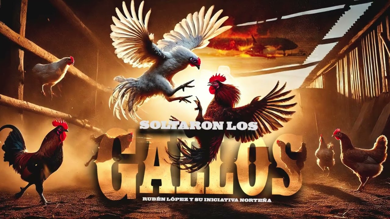 Soltaron Los Gallos - Rub&eacute;n L&oacute;pez y Su Iniciativa Norte&ntilde;a - Estreno 2026