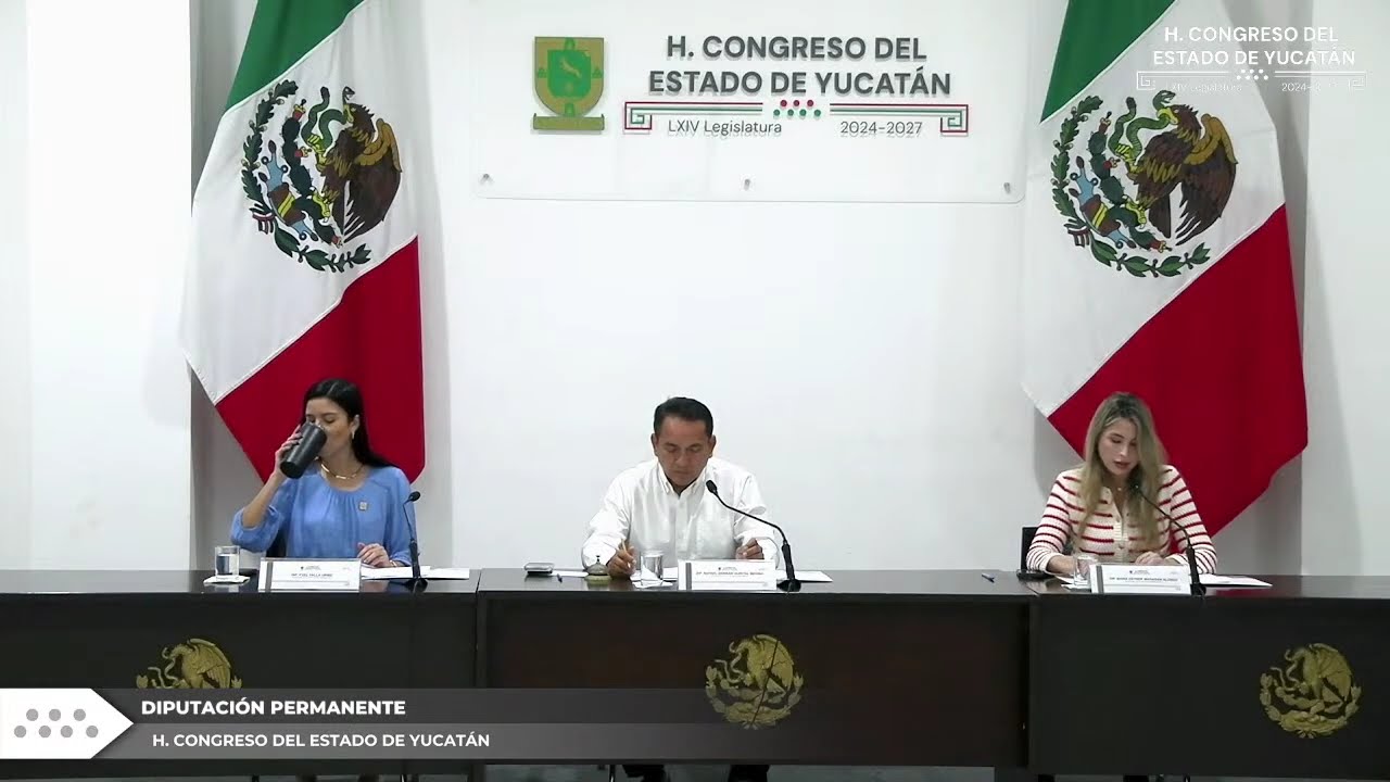 30/01/2026 Sesión de la Diputación Permanente