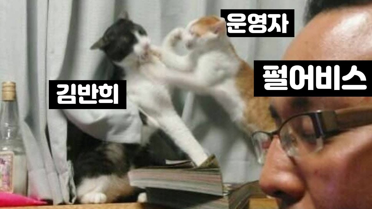 팀장님 얘네 또 싸우는데요...