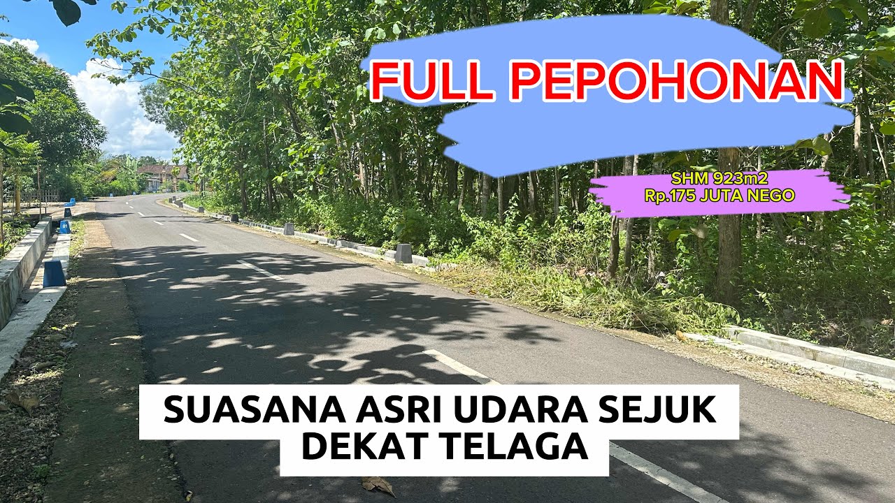 Dijual tanah pinggir jalan aspal udara sejuk dekat telaga