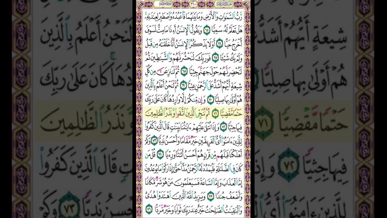 صفحة 310 من القرآن الكريم بصوت القارئ الشيخ ميثم التمار