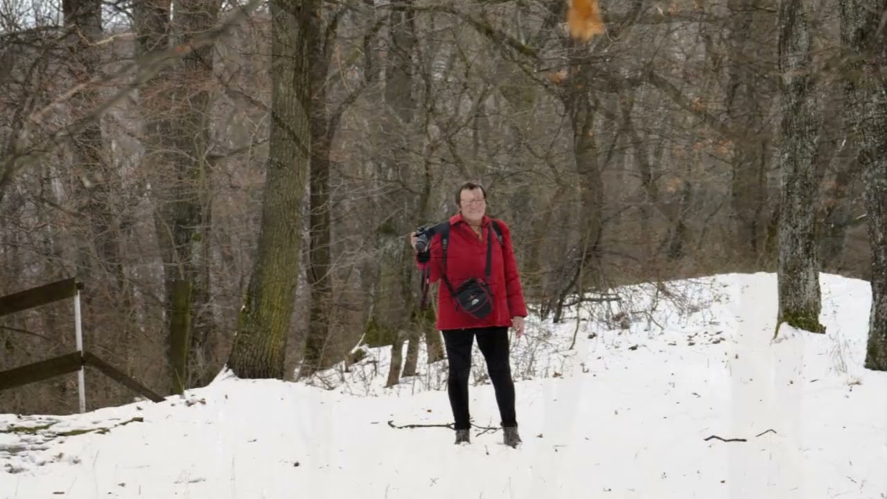 1024Sf Várkút