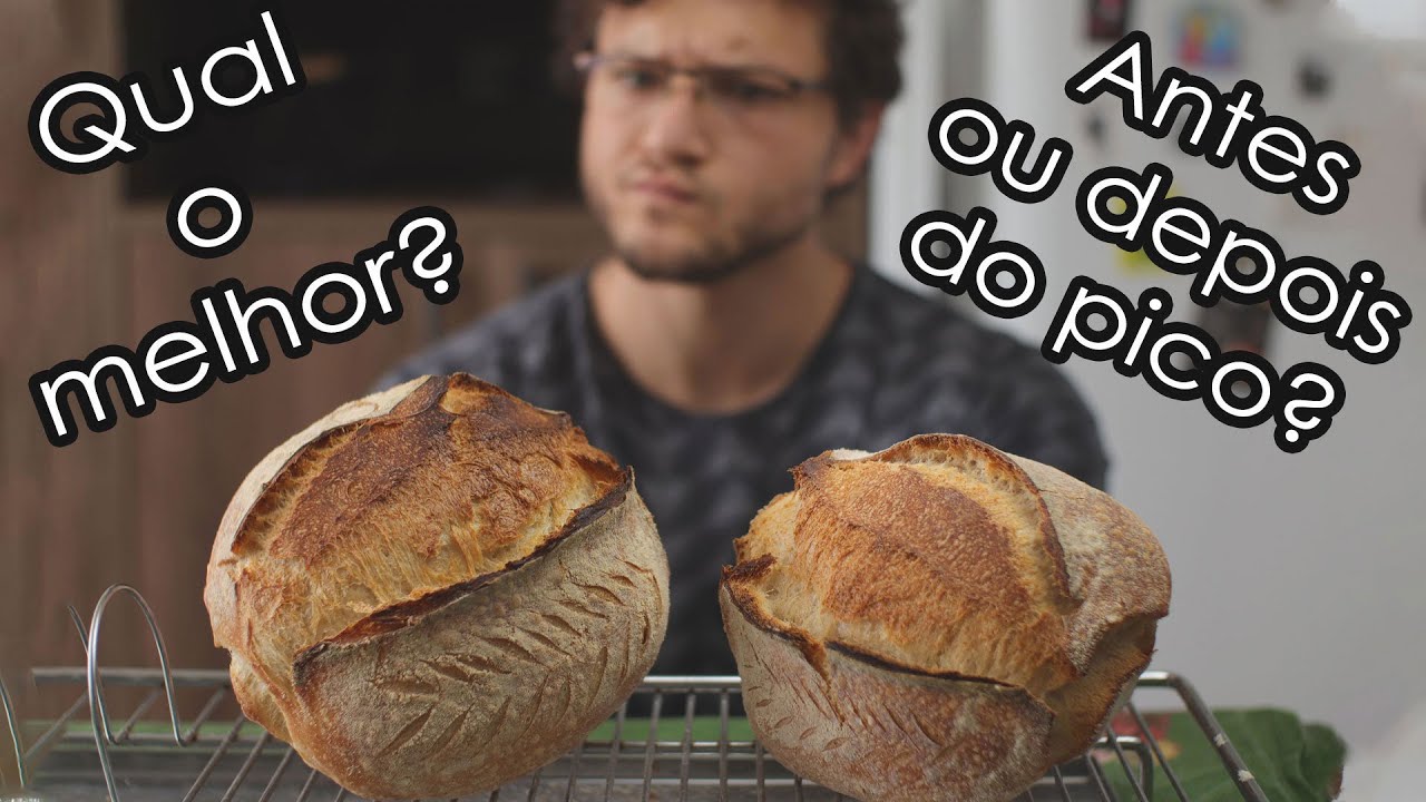 Fermento Natural: Antes vs. Depois do pico de crescimento | Qual o mais rápido?