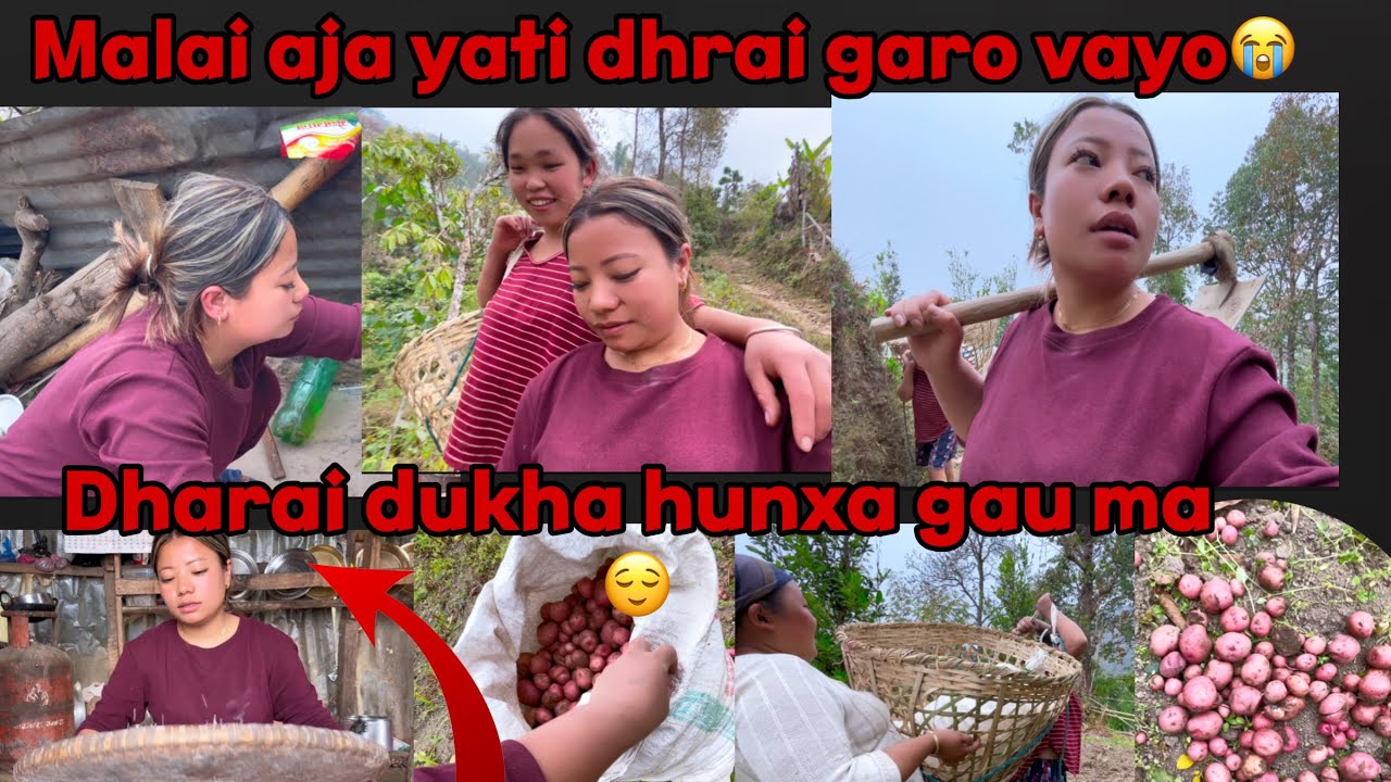 Malai aja yati dhraii dukha vayo mare ma 🥹