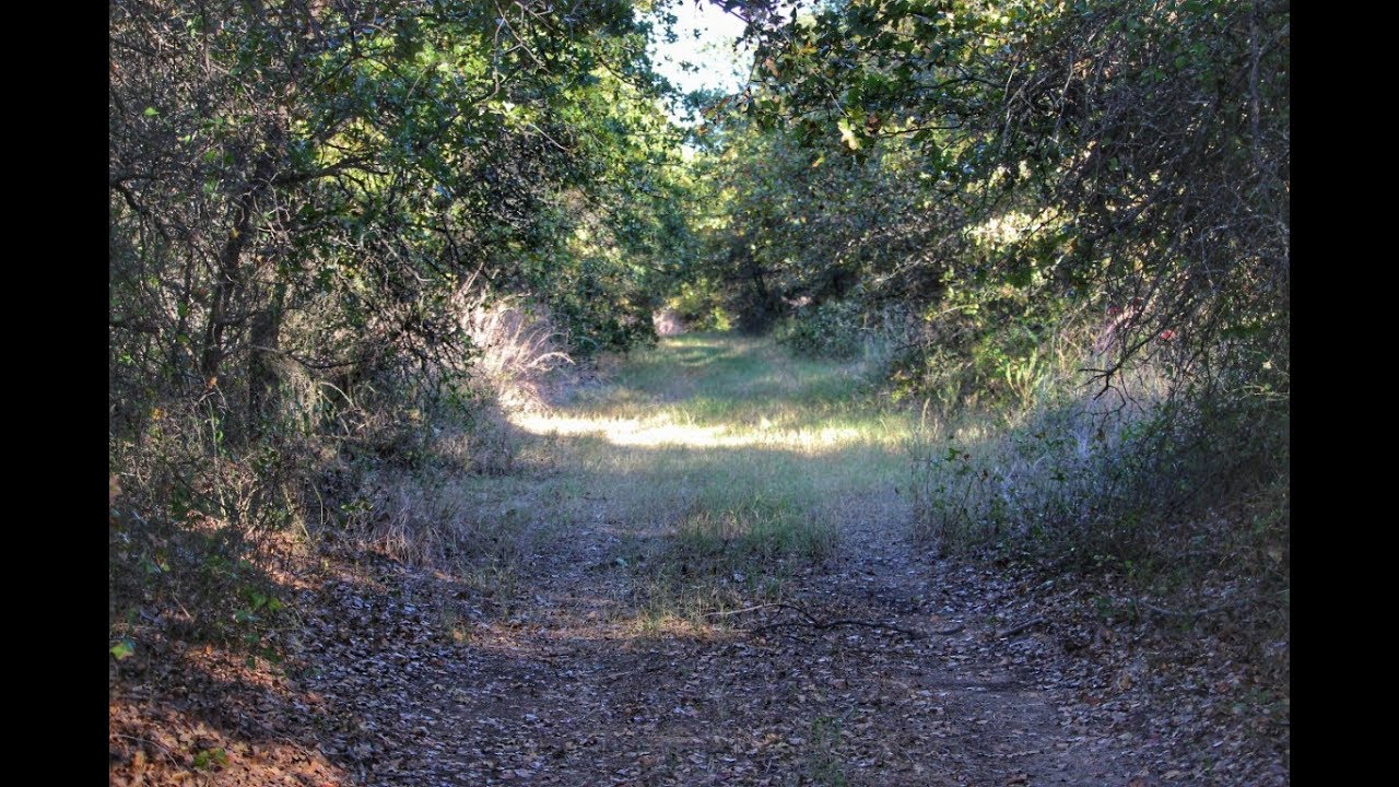 108 acres of Land for Sale in Parker & Jack Counties Texas ~ $6,150 per acre