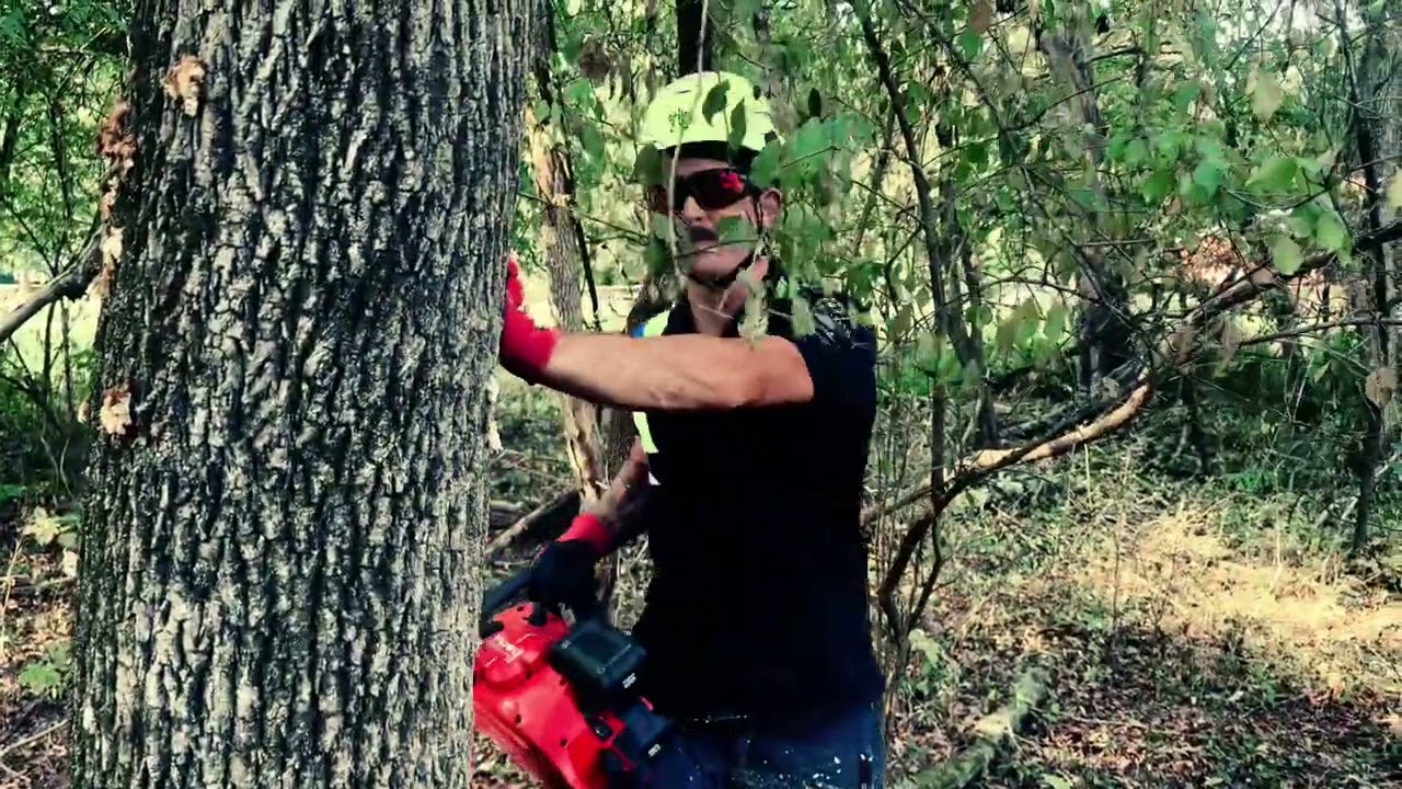 Cutting a TREE! - M18 FUEL™ 20