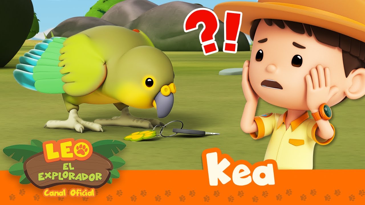 ¡Este PÁJARO robó nuestras LLAVES! | Kea | Leo, El Explorador | Animación | #compilation